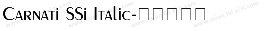 Carnati SSi Italic字体转换